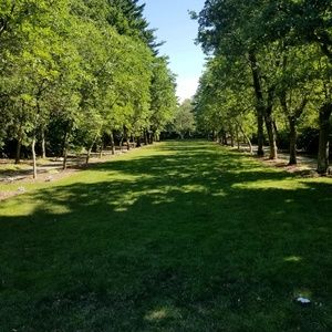 Meet your Posher, Irving